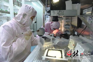 鹿泉經濟開發區 以精準服務為引擎，大力扶持高新技術企業騰飛