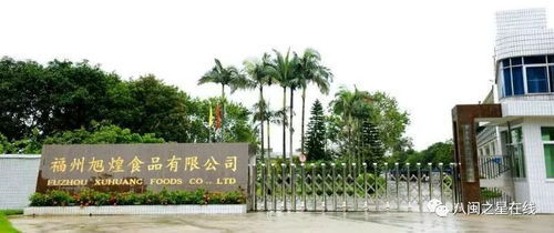 金獎(jiǎng)企業(yè)旭煌食品 巧用科技助力，讓魚(yú)丸的國(guó)際旅程更遠(yuǎn)